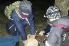 Post 7: Naturkendskab